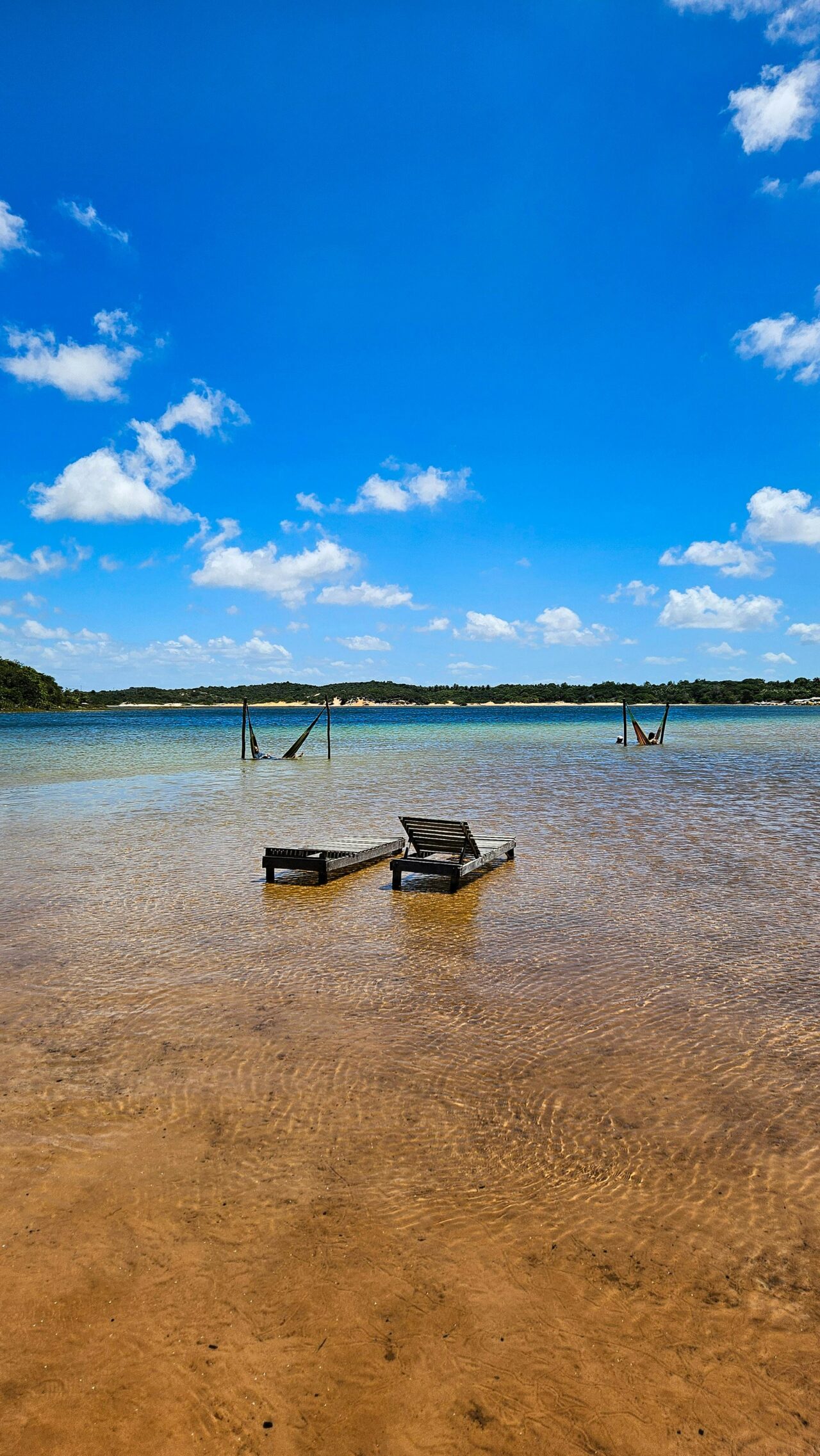 スクラッチ始め方と簡単ゲーム作成ガイド入門編